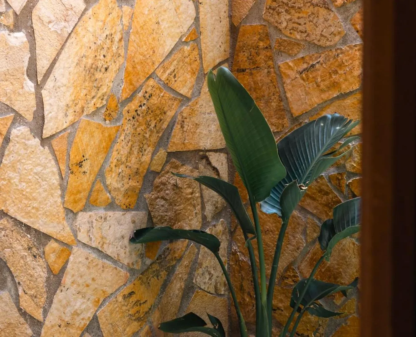Apartment Artemis Central Argostoli